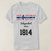 Norway Flag Independence Celebration