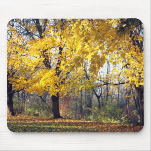 Norway Maples Mouse Pad