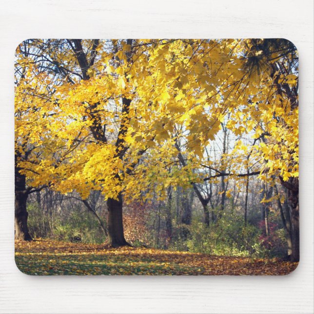 Norway Maples Mouse Pad (Front)