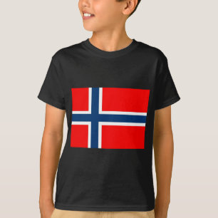 Norway National Flag T-Shirt