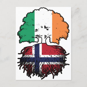 Norway Norwegian Irish Ireland Tree Roots Flag Postcard