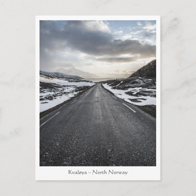Norway Road Landscape Photo Postcard (Front)