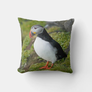 Norway, Svalbard Archipelago, Spitsbergen 9 Cushion