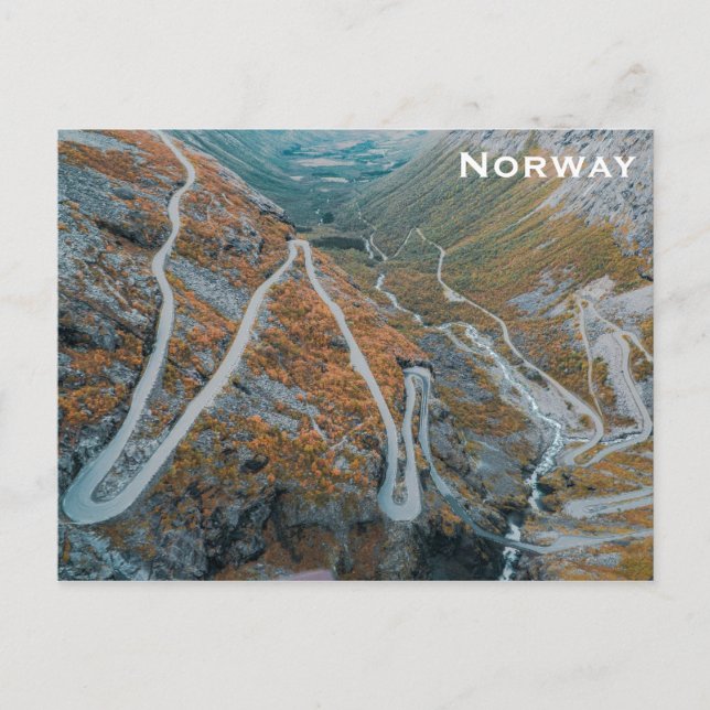 Norway Travel Photo Windy Fjord Road Postcard (Front)