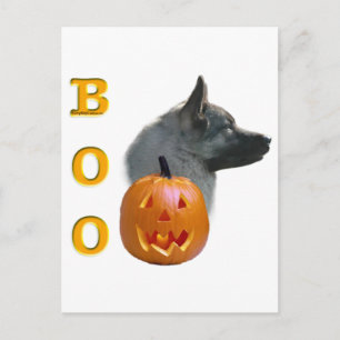 Norwegian Elkhound Boo Postcard
