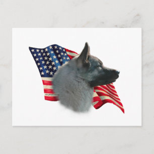 Norwegian Elkhound Flag Postcard