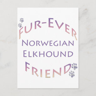 Norwegian Elkhound Furever Postcard