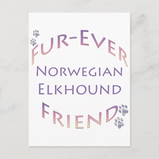 Norwegian Elkhound Furever Postcard (Front)