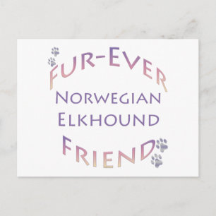 Norwegian Elkhound Furever Postcard