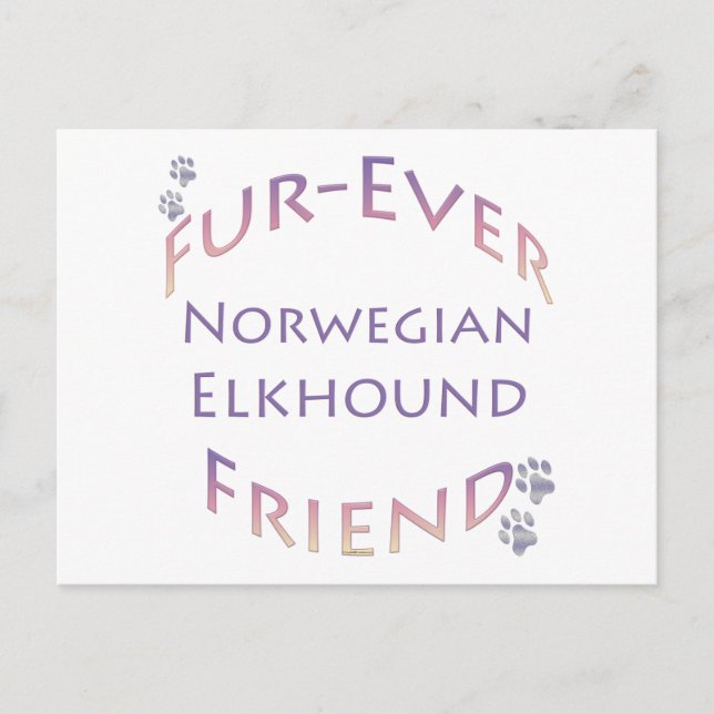 Norwegian Elkhound Furever Postcard (Front)