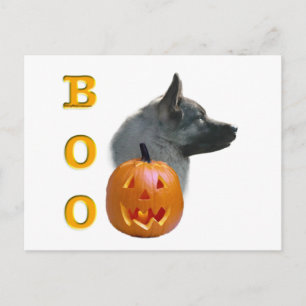 Norwegian Elkhound Halloween Boo Postcard
