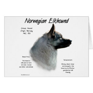 Norwegian Elkhound History Design