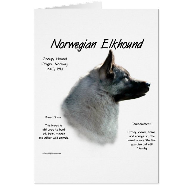 Norwegian Elkhound History Design (Front)