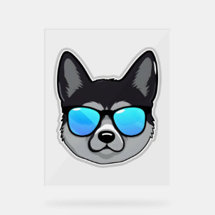 Norwegian Elkhound in Cool Sunglasses Classic T-Sh Acrylic Sign