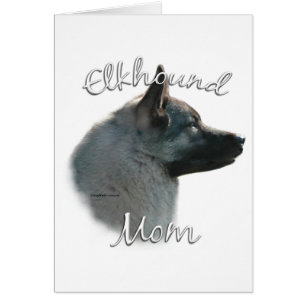 Norwegian Elkhound Mum 2