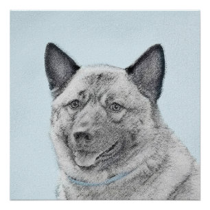 Norwegian Elkhound Painting - Original Dog Art Poster