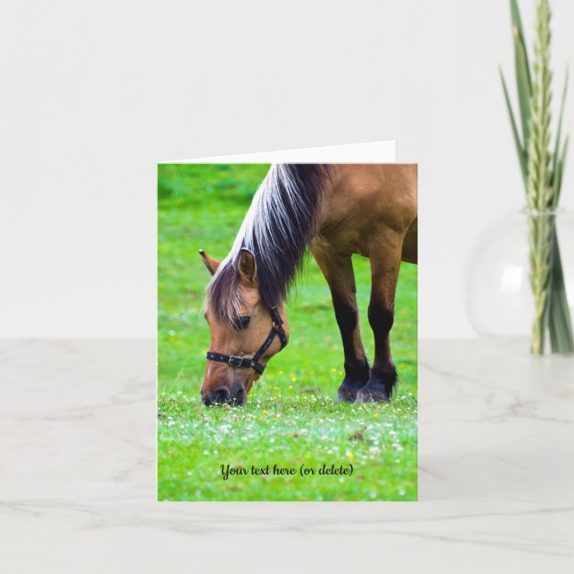 Norwegian Fjord Horse Greeting Card (Front)
