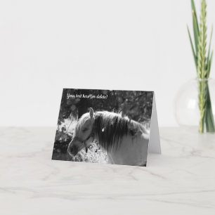 Norwegian Fjord Horse in Black and White Thank You Card