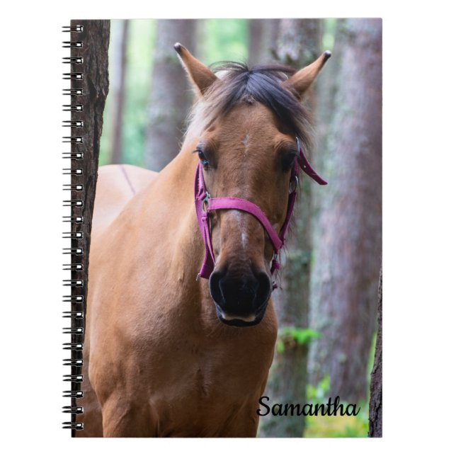 Norwegian Fjord Horse Spiral Notebook (Front)