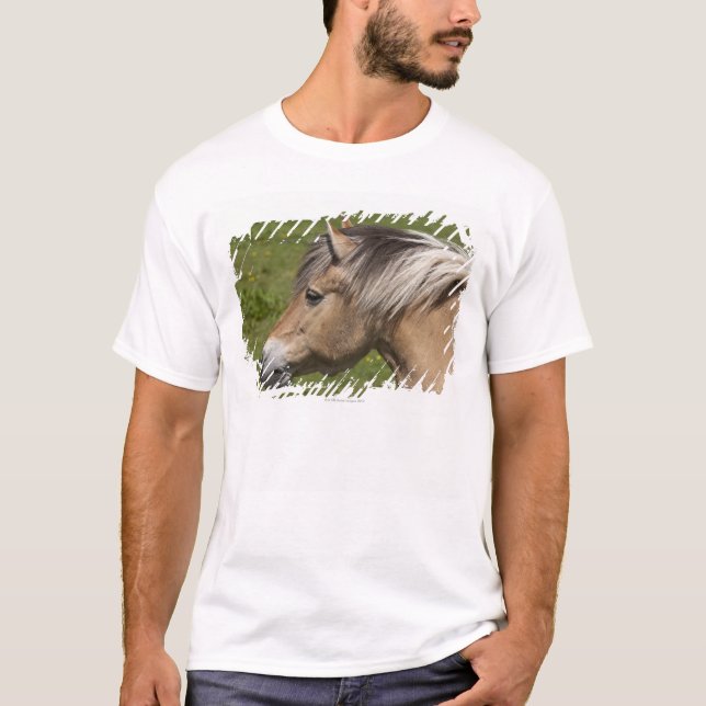 Norwegian Fjord Horse T-Shirt (Front)