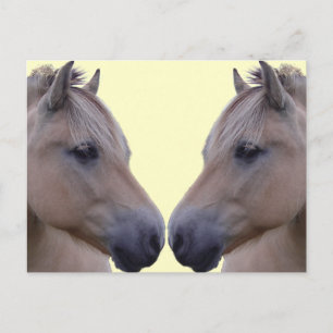 Norwegian Fjord Postcard