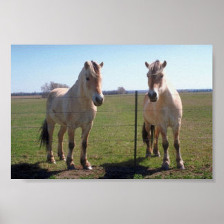 Norwegian Fjords Poster