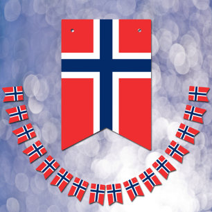 Norwegian Flag & Party Norway Banners / Weddings