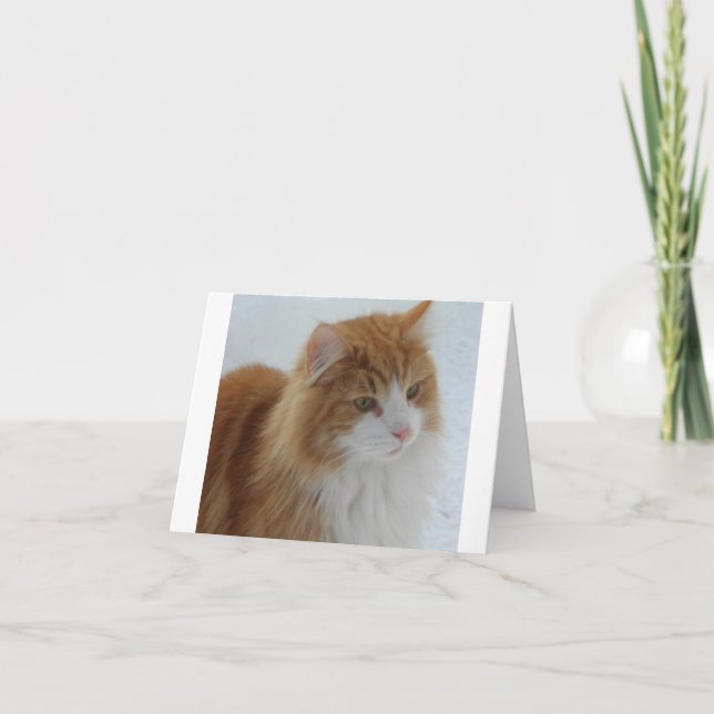 Norwegian_Forest_Cat Card (Front)