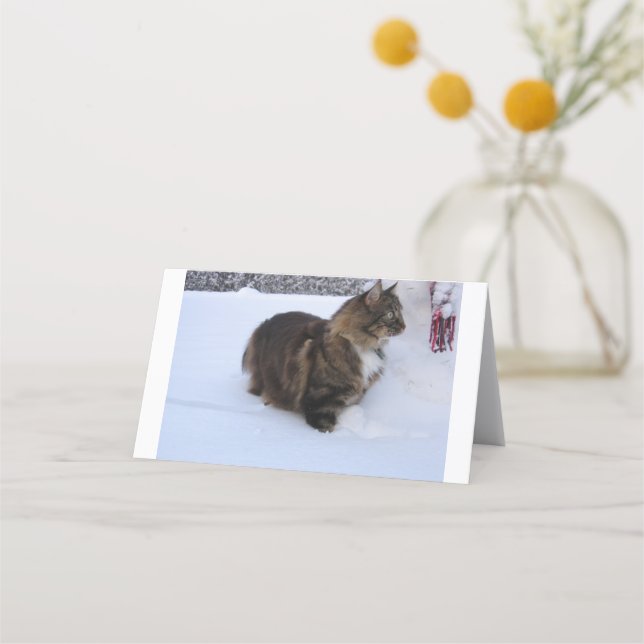 norwegian forest cat in snow appointment card (Front)