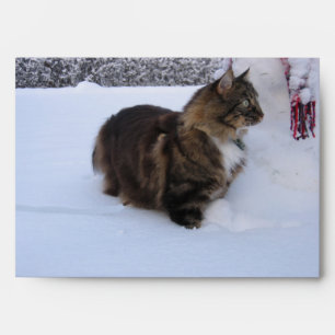 norwegian forest cat in snow envelope