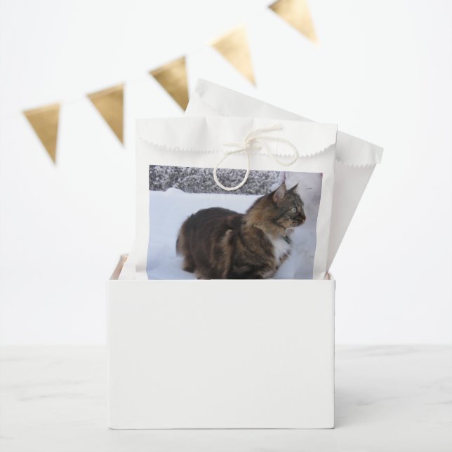 norwegian forest cat in snow favour bags (Party)