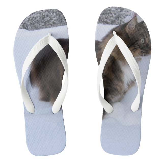 norwegian forest cat in snow jandals (Footbed)
