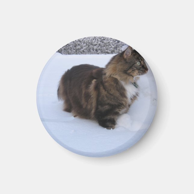 norwegian forest cat in snow magnet (Front)