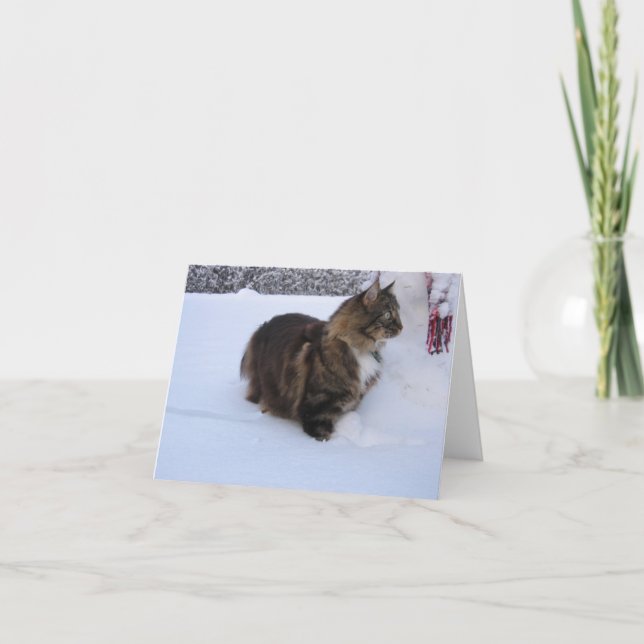 norwegian forest cat in snow note card (Front)