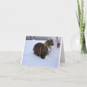 norwegian forest cat in snow note card