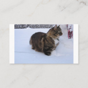 norwegian forest cat in snow place card