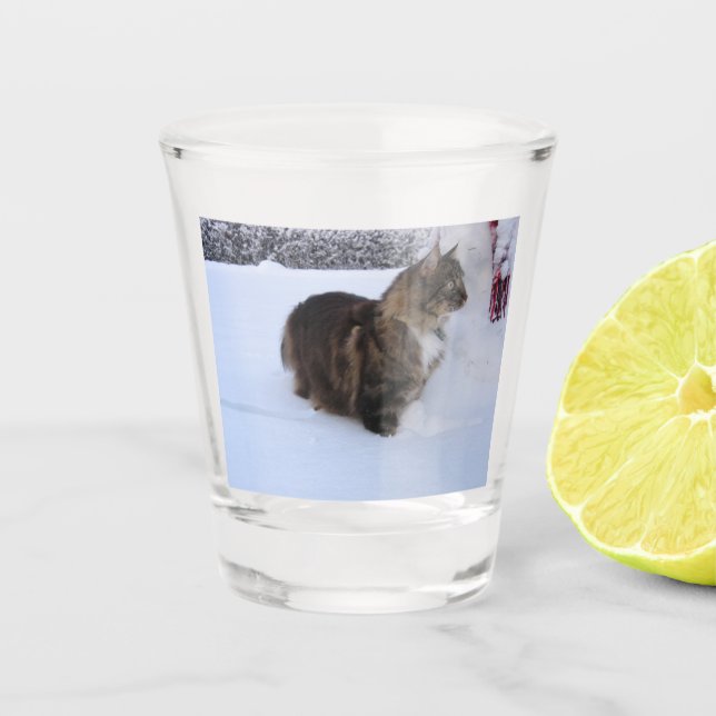 Norwegian Forest cat in snow Shot Glass (Front)