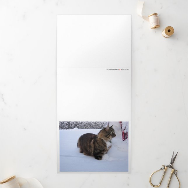 norwegian forest cat in snow Tri-Fold card (Outside)
