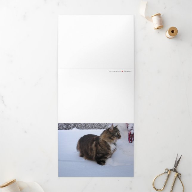 norwegian forest cat in snow Tri-Fold holiday card (Outside)