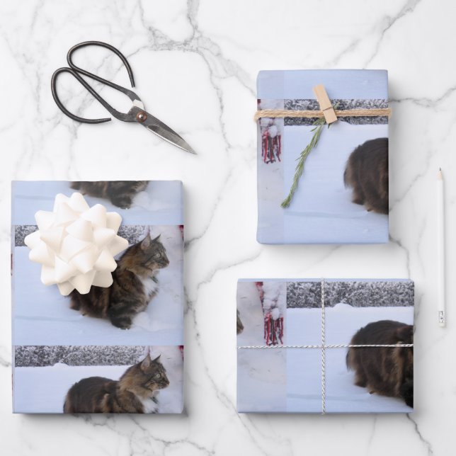 norwegian forest cat in snow wrapping paper sheet (Front)