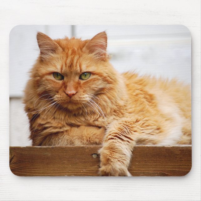 Norwegian Forest Cat, King of Cats Mousepad (Front)