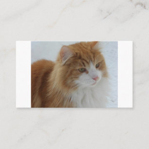 Norwegian_Forest_Cat Place Card