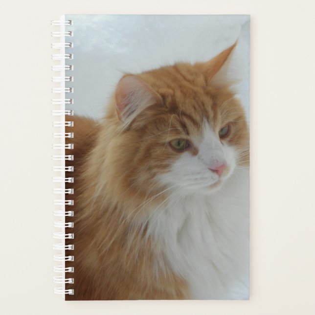 Norwegian_Forest_Cat Planner (Front)
