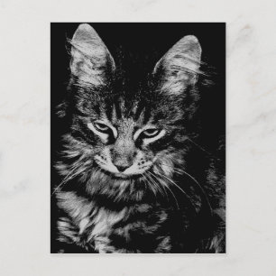 Norwegian Forest Cat Postcard