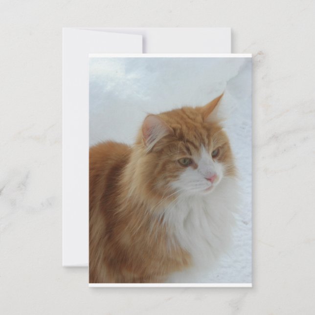 Norwegian_Forest_Cat Save The Date (Front)