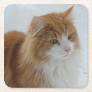 Norwegian_Forest_Cat Square Paper Coaster