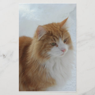 Norwegian_Forest_Cat Stationery