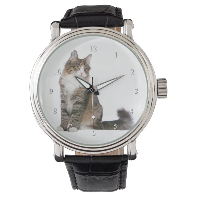Norwegian Forest Cat Watch (Front)
