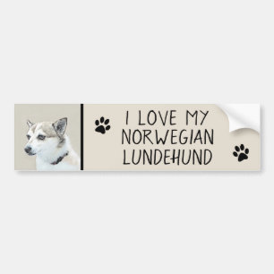 Norwegian Lundehund Painting - Original Dog Art Bumper Sticker