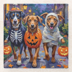 Norwegian Lundehund Trick-or-Treating Halloween Glass Coaster